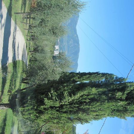 Valle Degli Ulivi Appartamento Терни Экстерьер фото