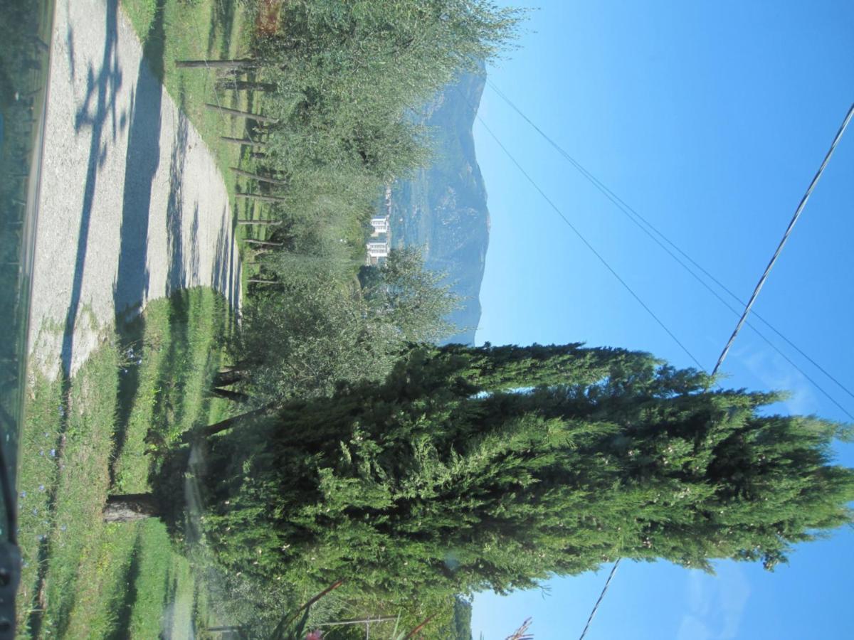 Valle Degli Ulivi Appartamento Терни Экстерьер фото